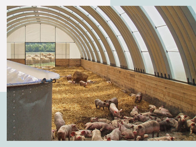 Строительство свинарников в Евпатории