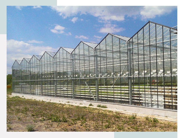 Строительство теплиц в Евпатория от 632 руб. за м²